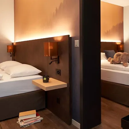 ذا هاي فندق إنترلاكن