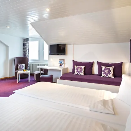 ذا هاي 4* إنترلاكن